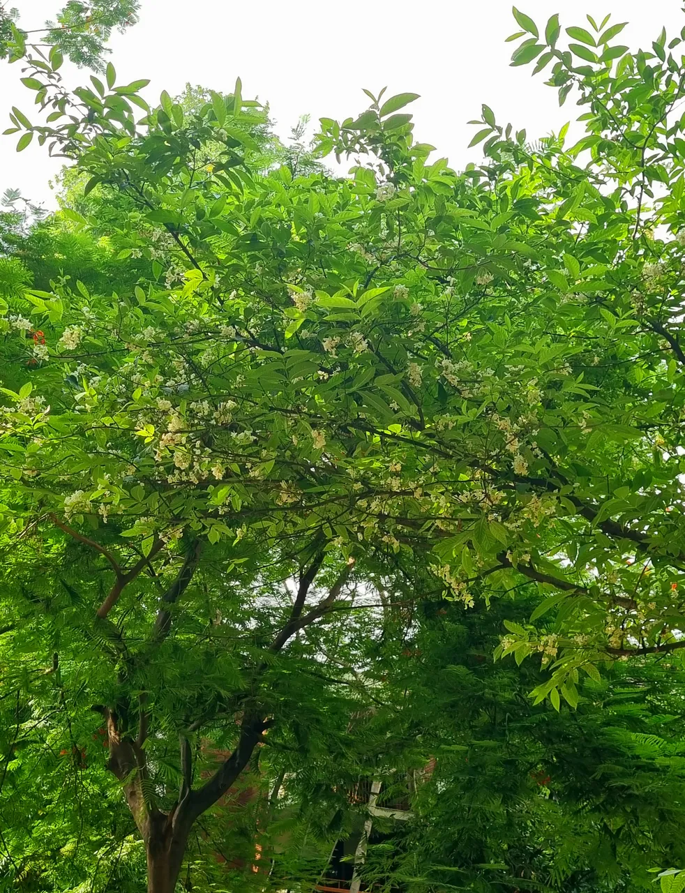 20240605_150832.jpg