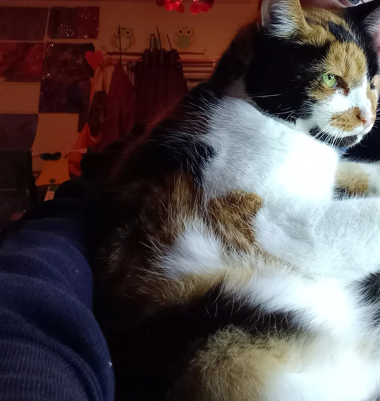 20230124_191511.jpg