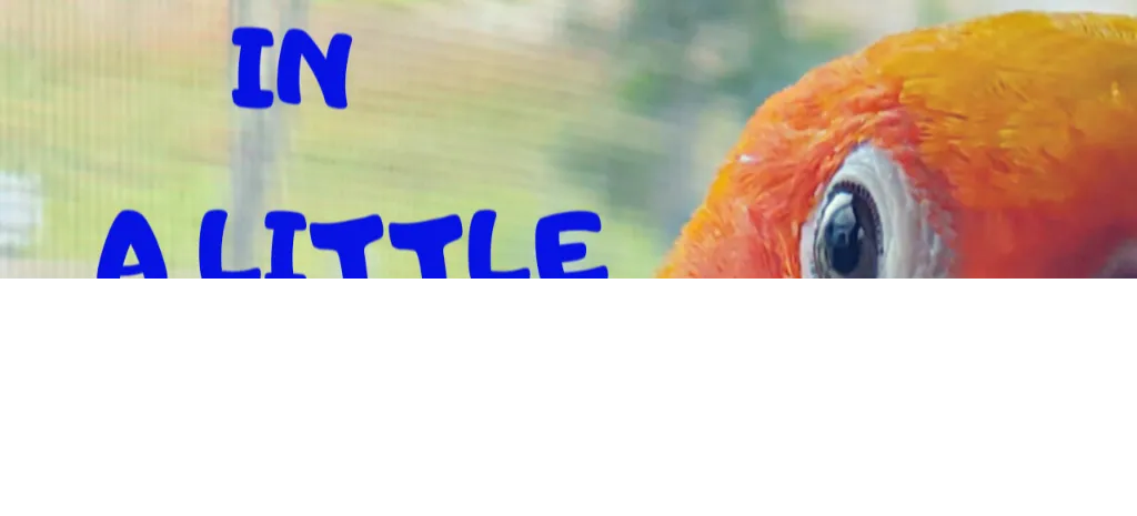 20200916_162548.png