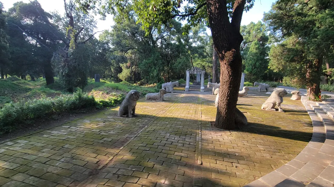 20250826_163417.jpg