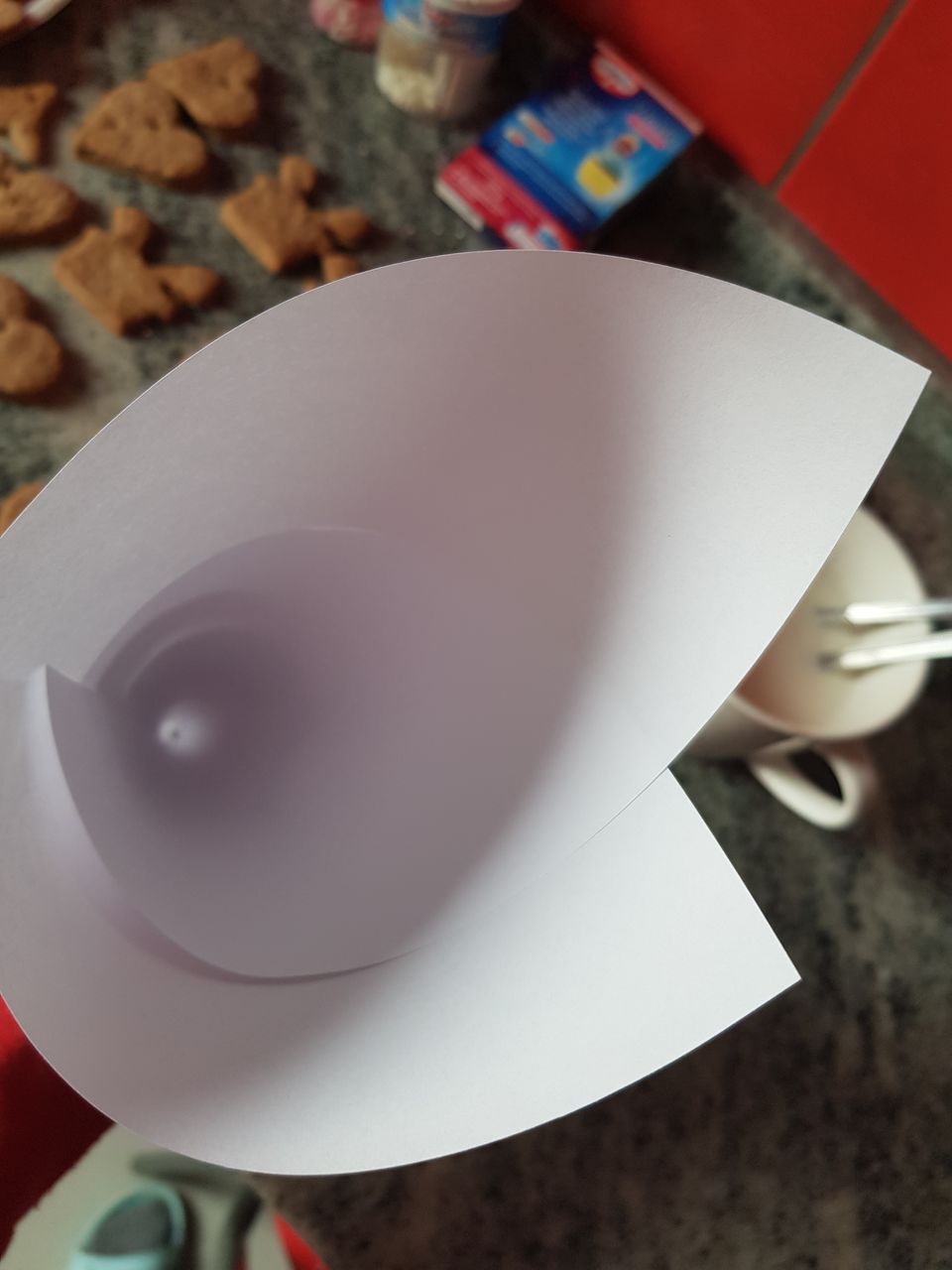 20201216_124749.jpg