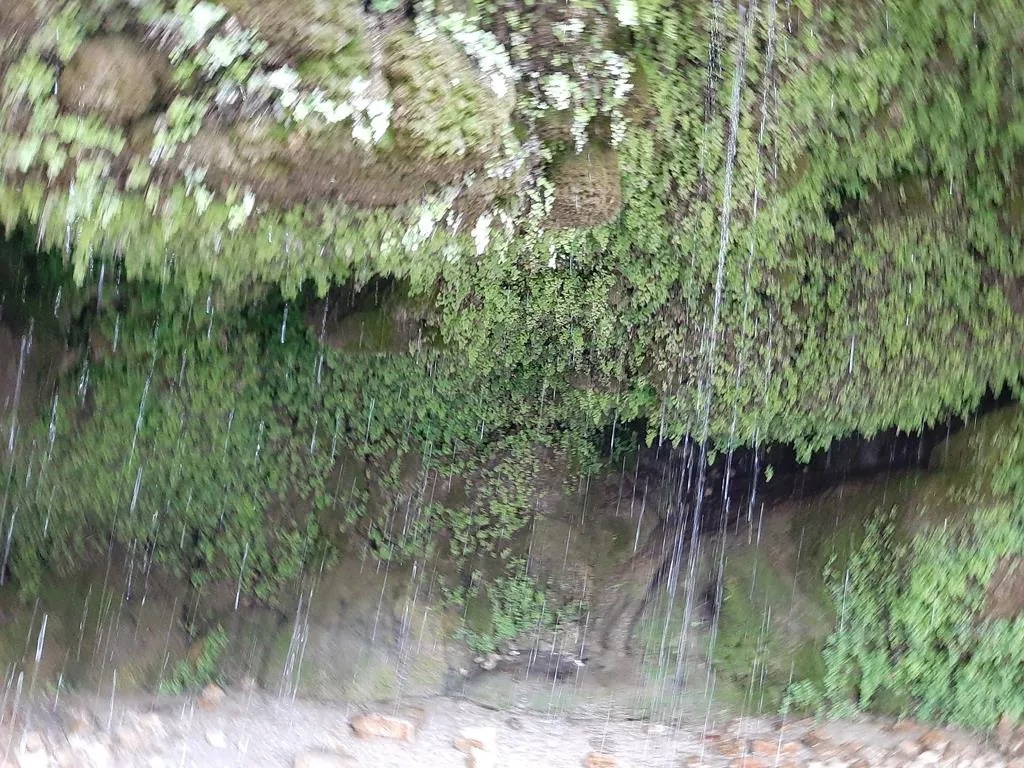 20250531_172718.jpg