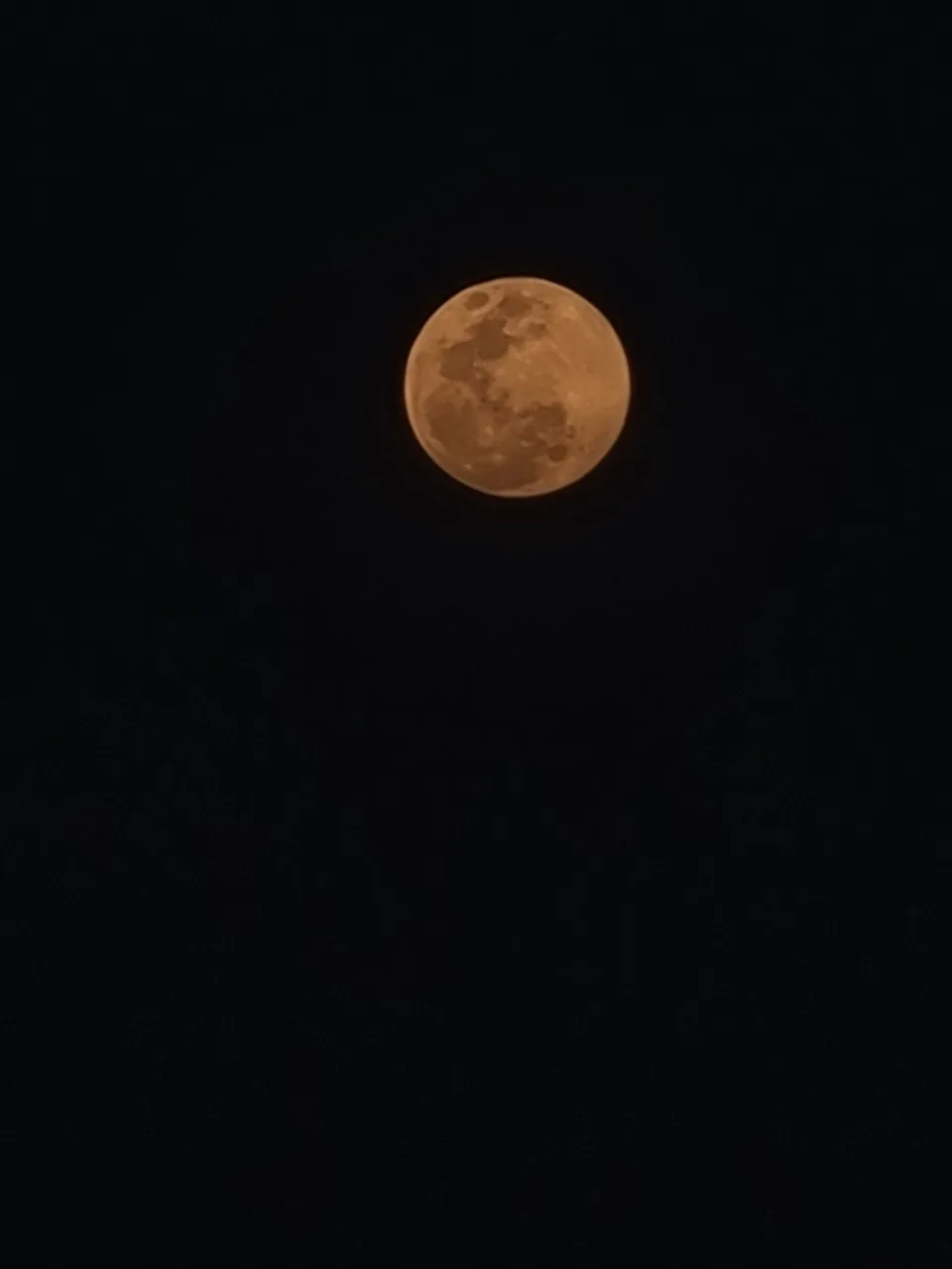 20230106_184349.jpg