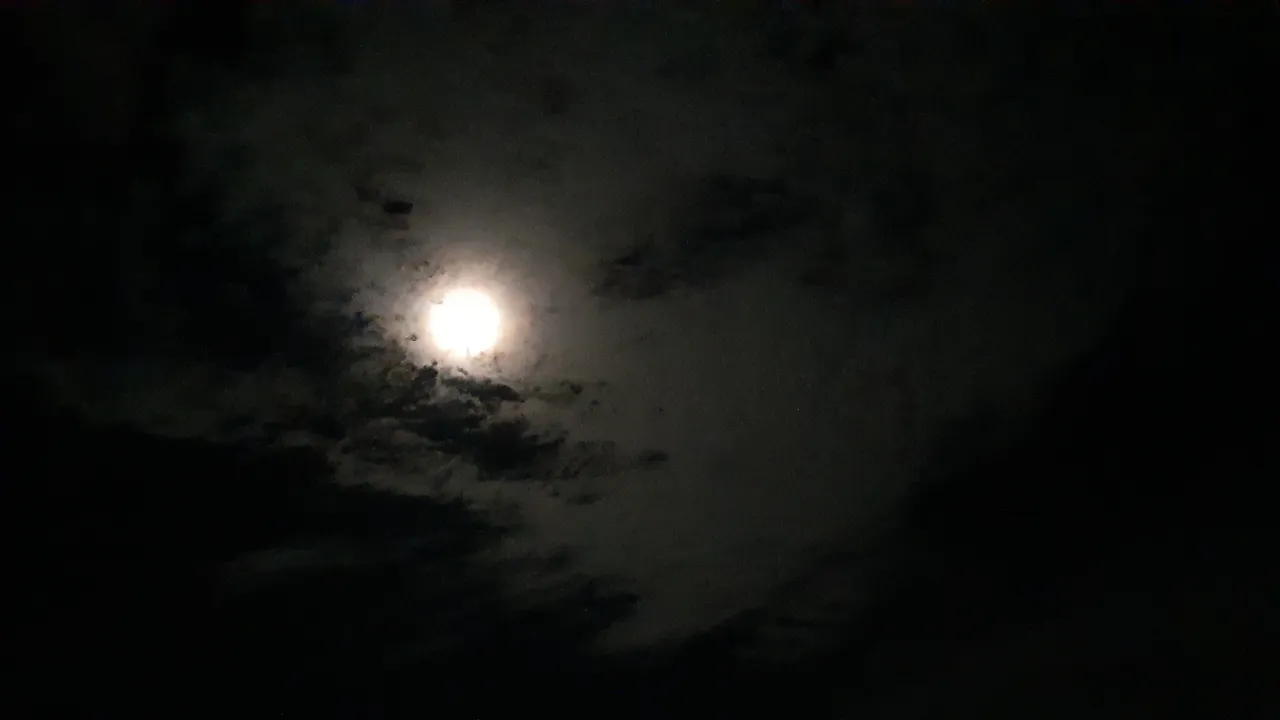 20231126_203325.jpg