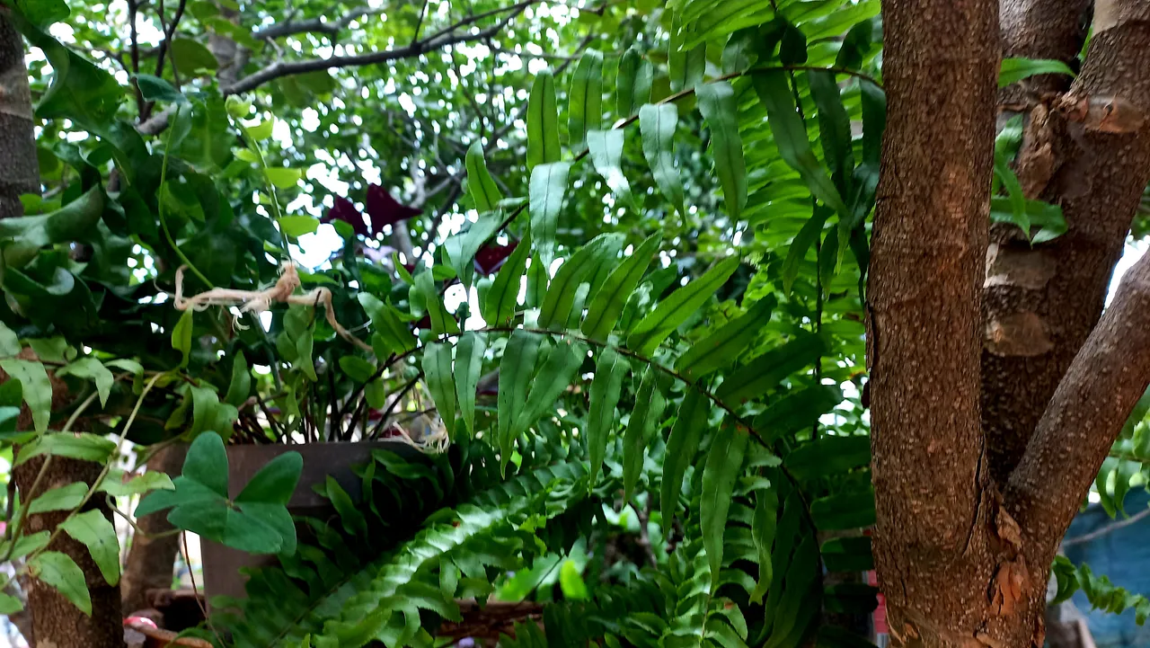 20250724_130701.jpg