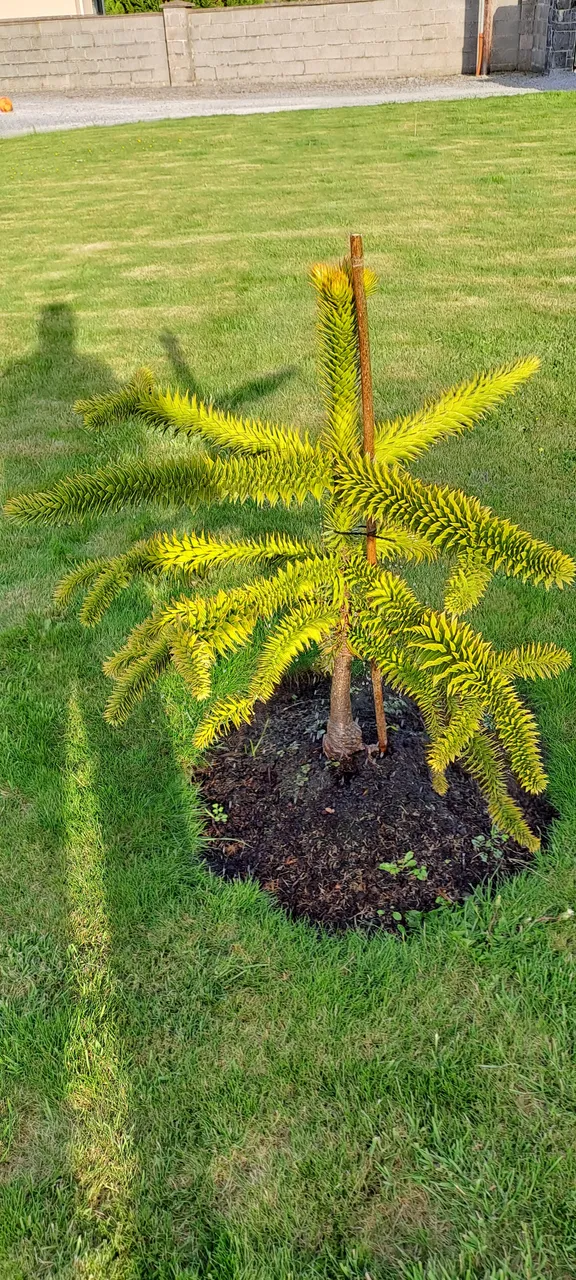 20230529_193940.jpg