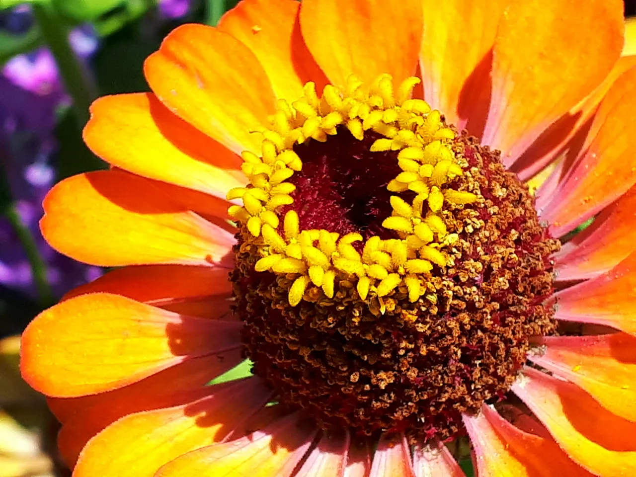 20190902_104735.jpg