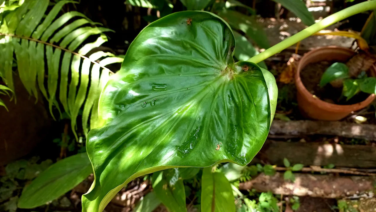 20230814_121026.jpg