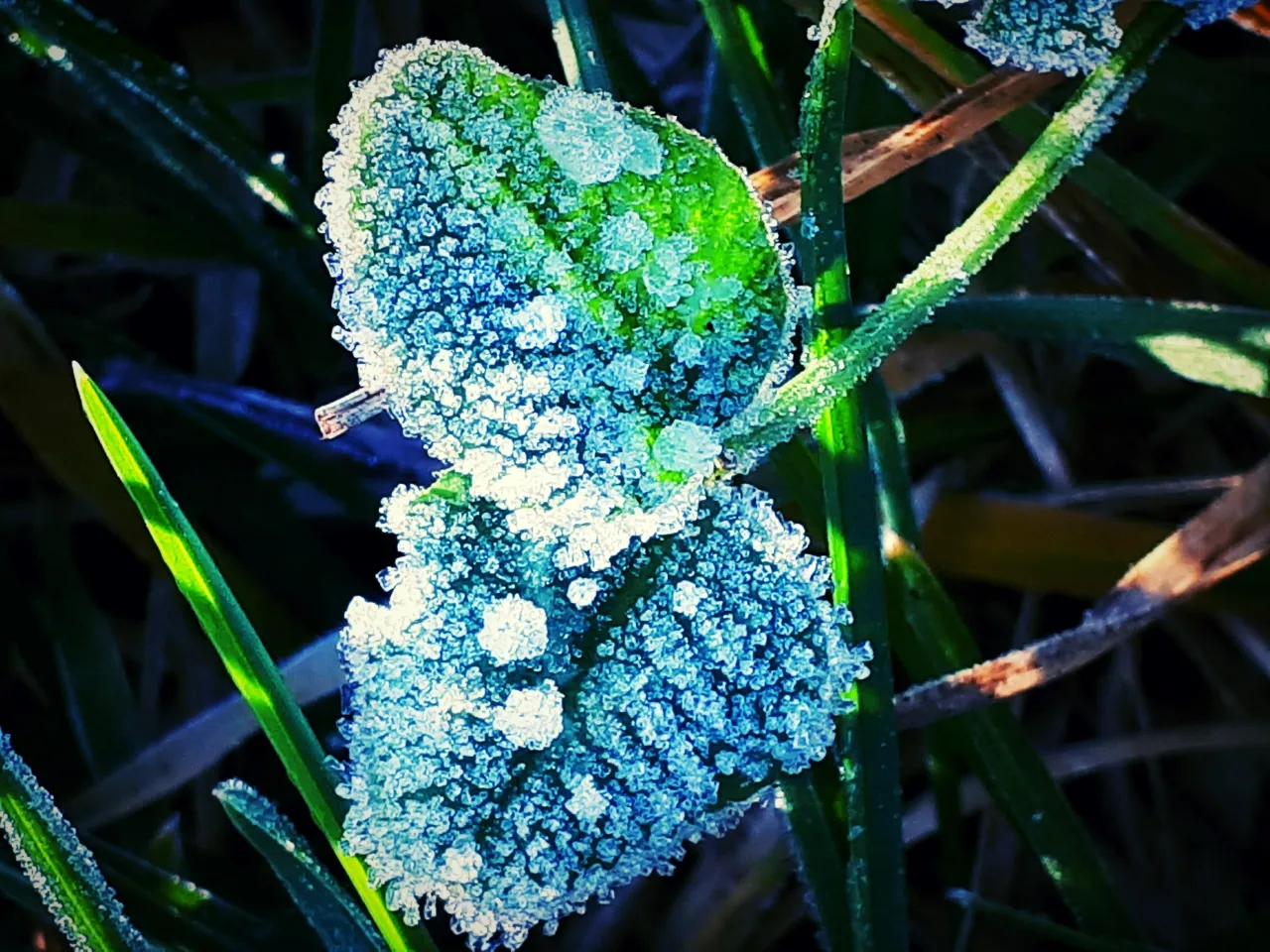 20220122_143821.jpg