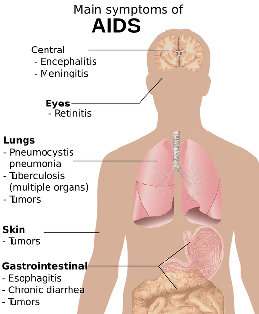 hiv-1280515_640.png
