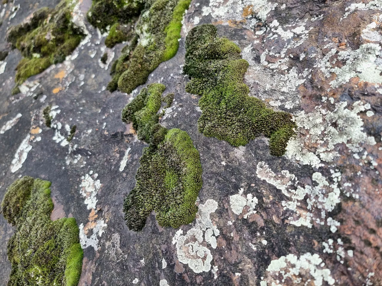 20250512_113658.jpg