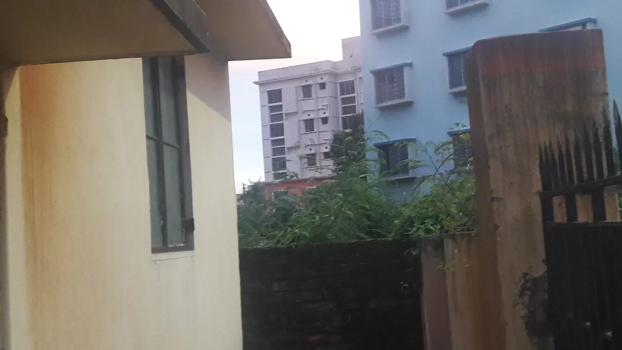 20200915_174243.jpg