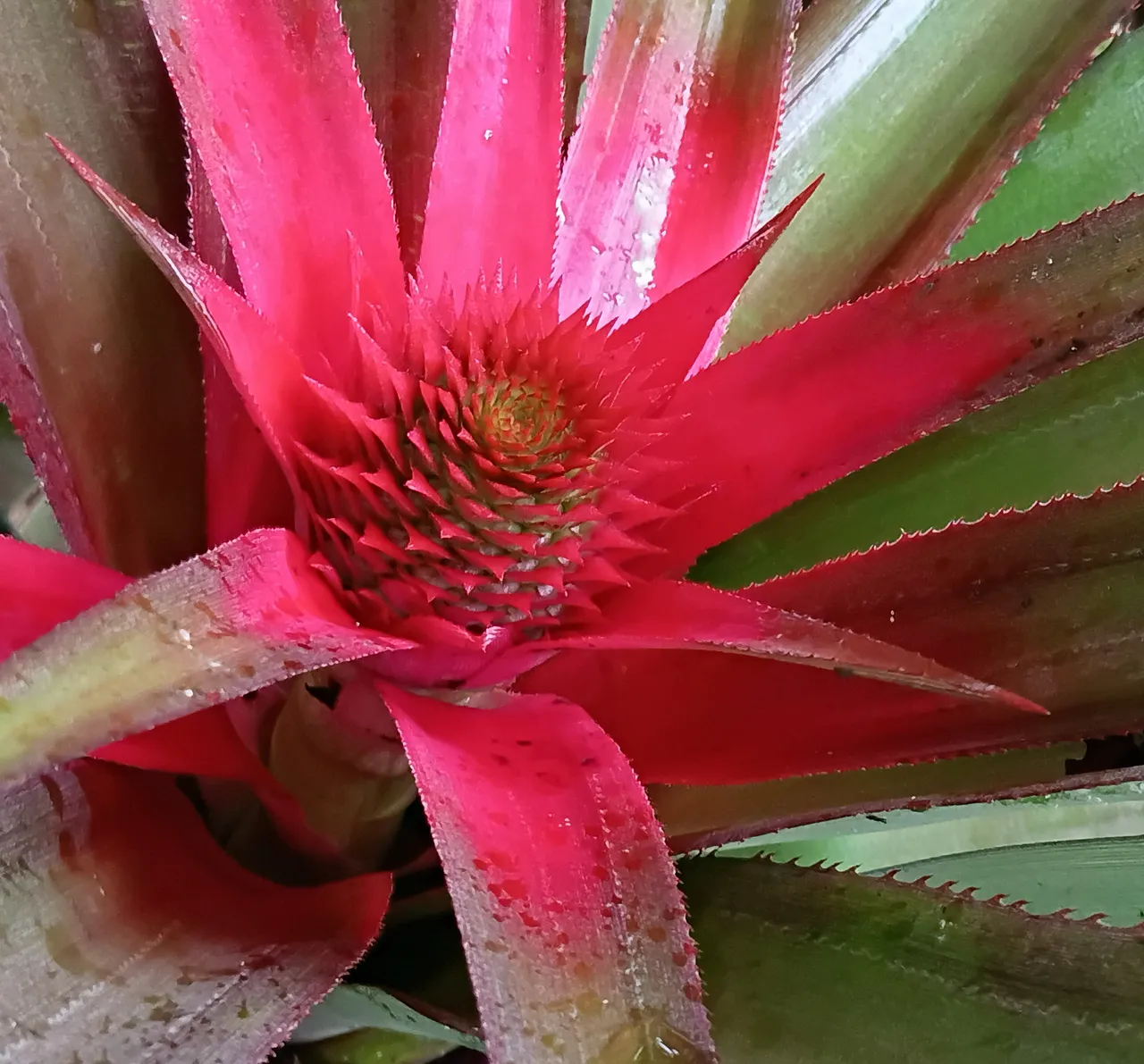 20250731_091632.jpg