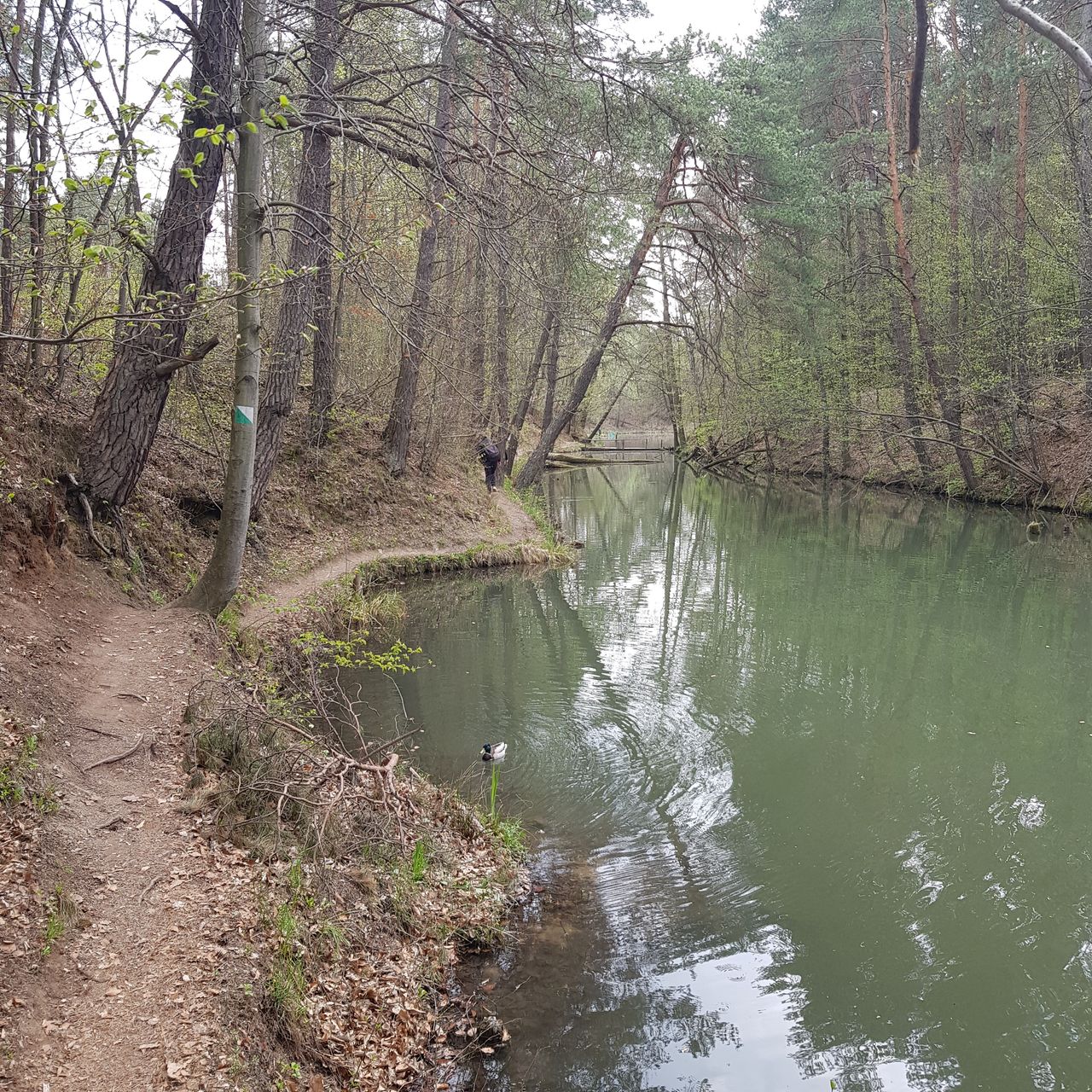 20220503_112339.jpg