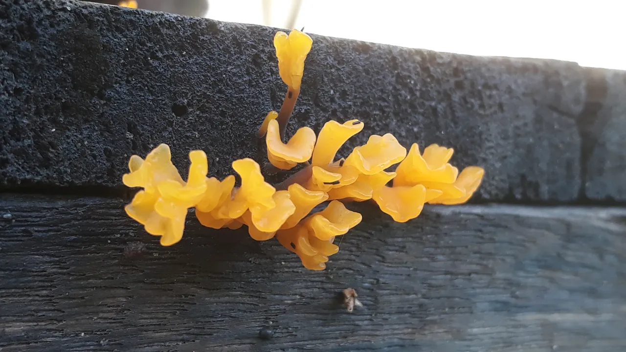20250418_071642.jpg