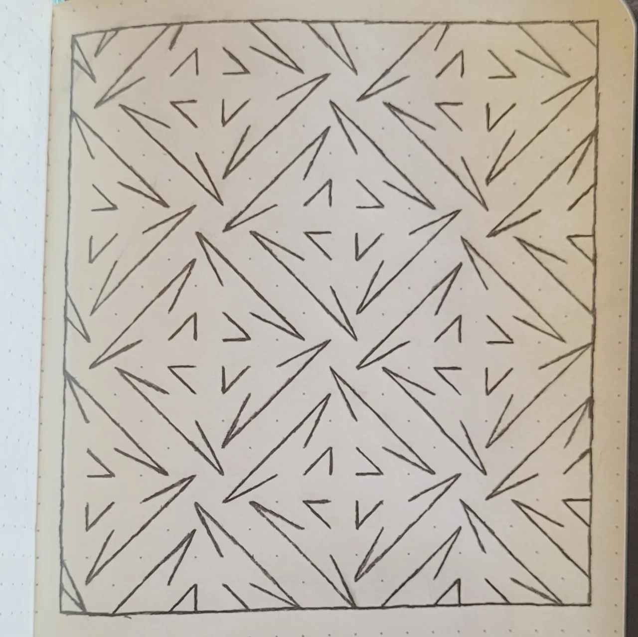 20230226_122853.jpg