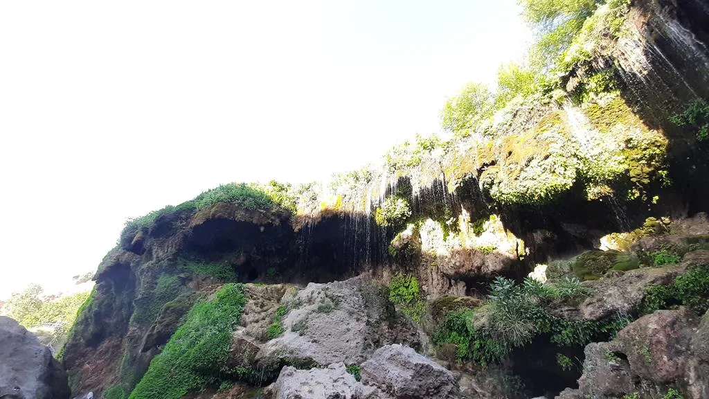 20250531_173452.jpg