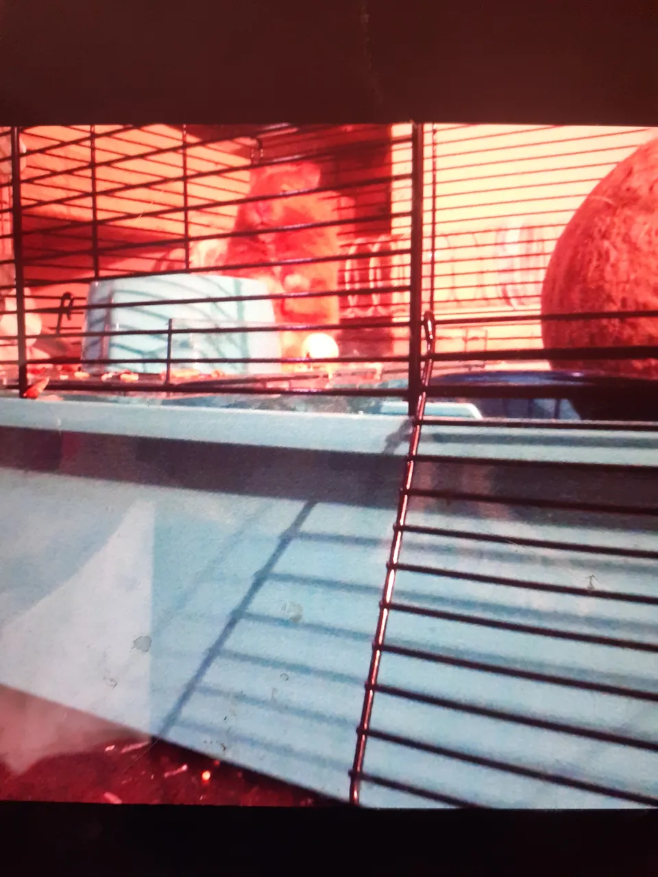 20220412_105209.jpg