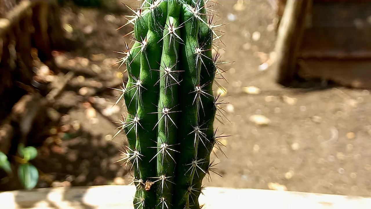20251003_130004.jpg