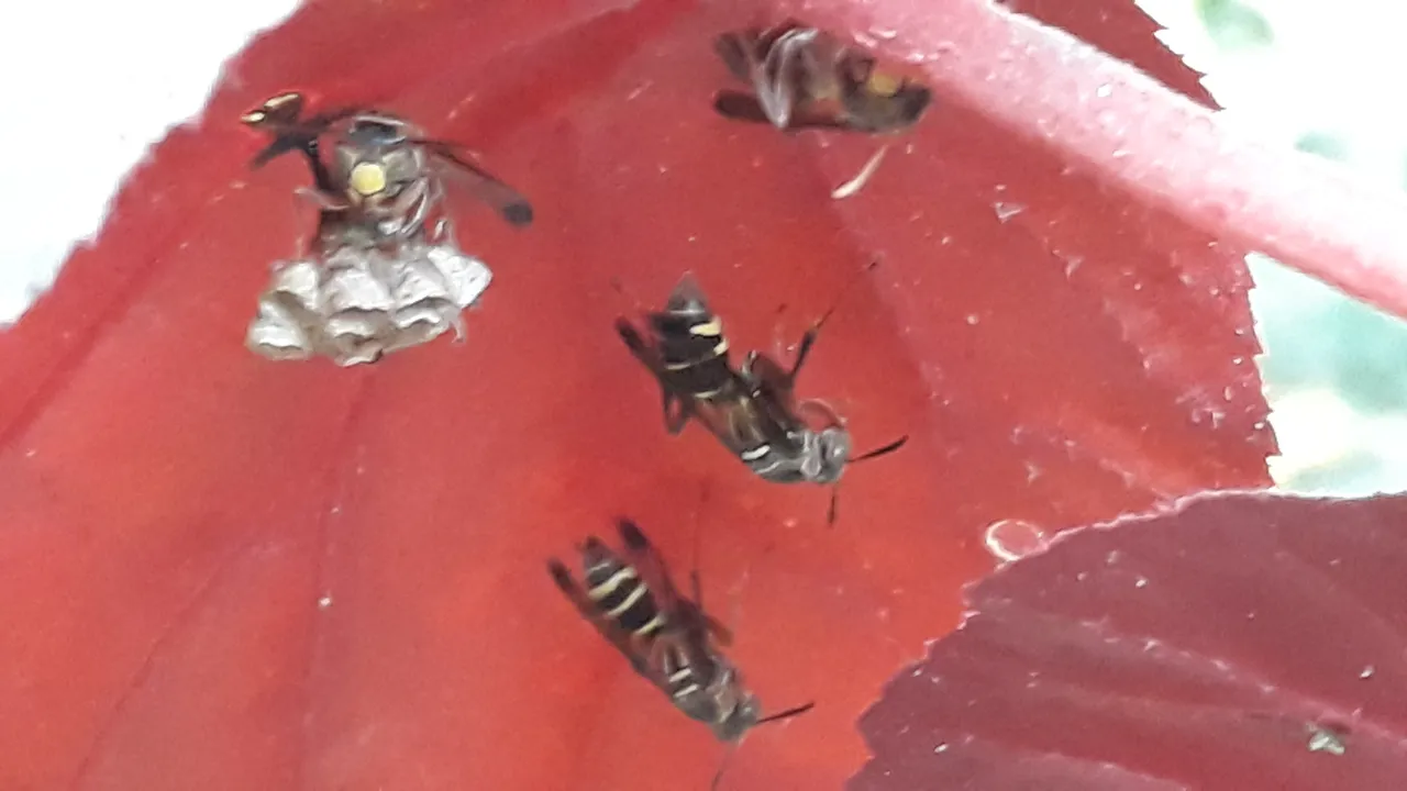 20250208_081501.jpg
