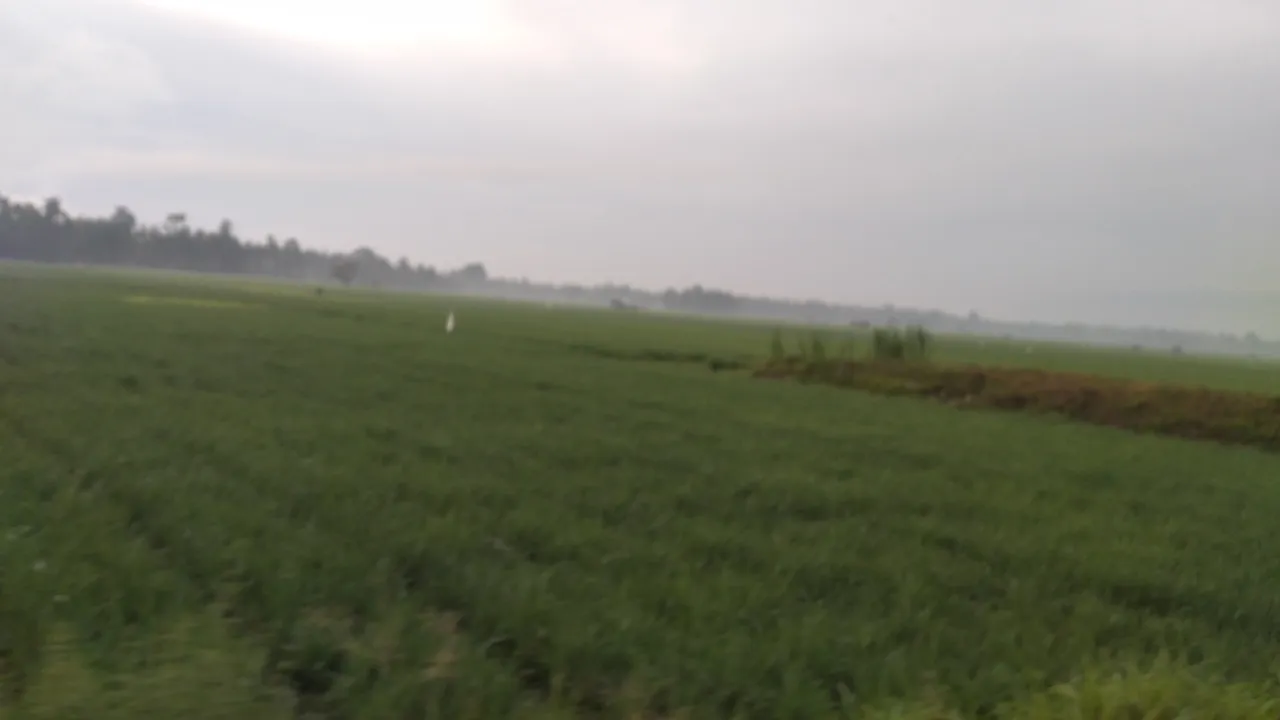 20240310_065911.jpg