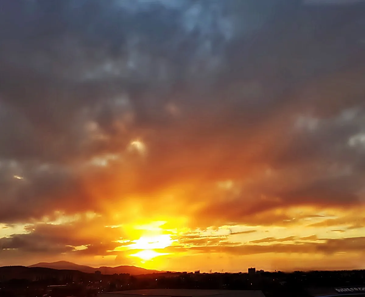 20220121_180348.jpg