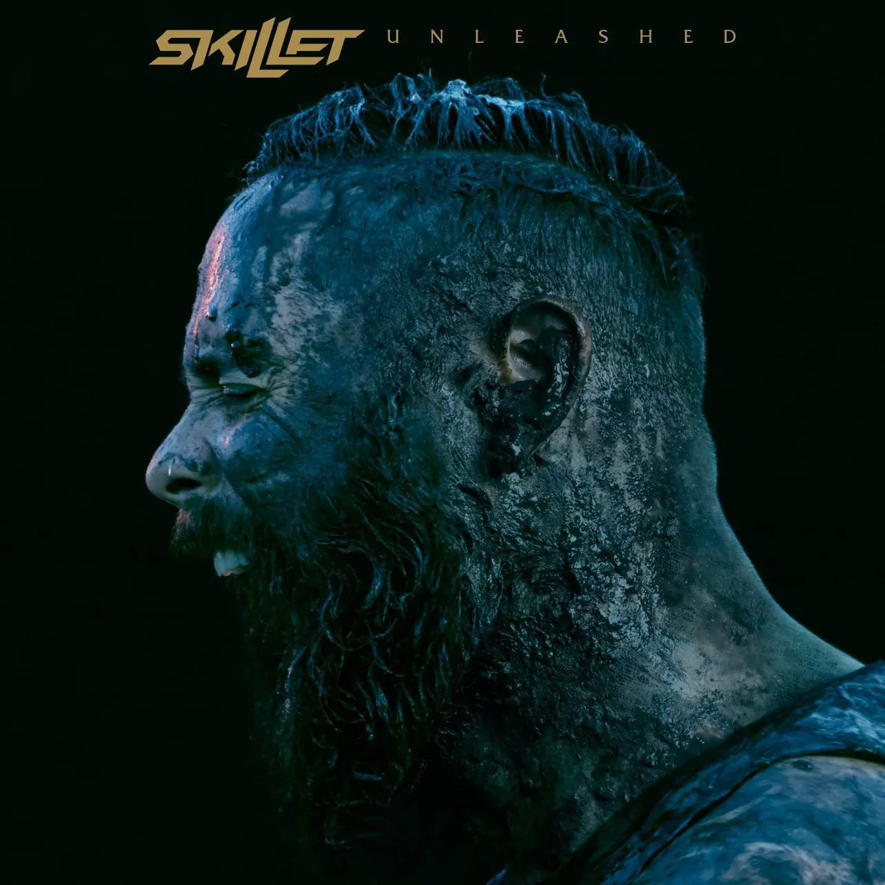 Unleashed album.jpg