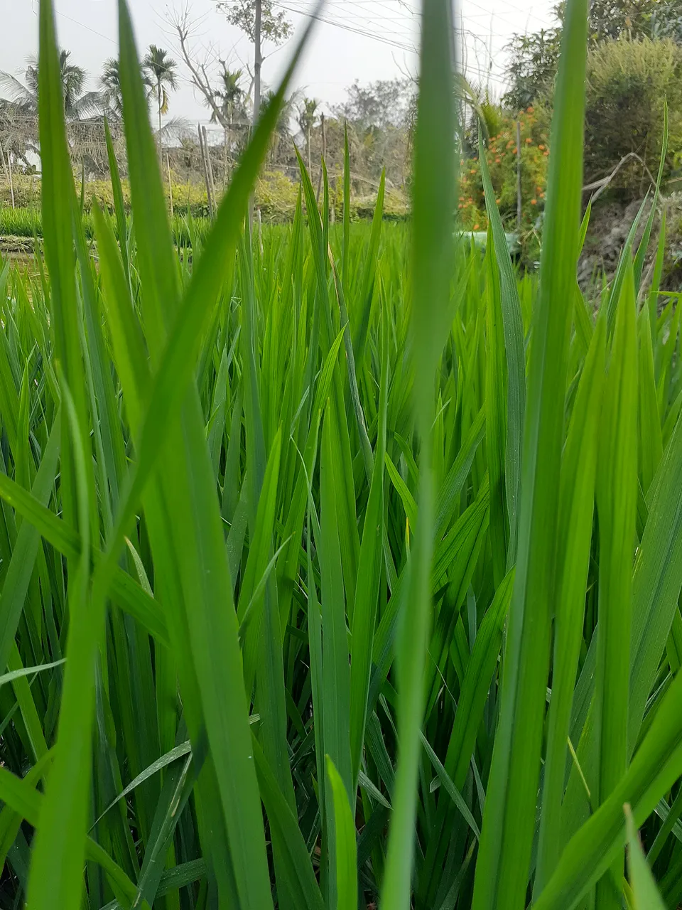 20230224_153144.jpg