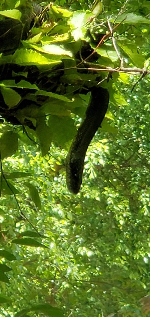 20200524_122003.jpg