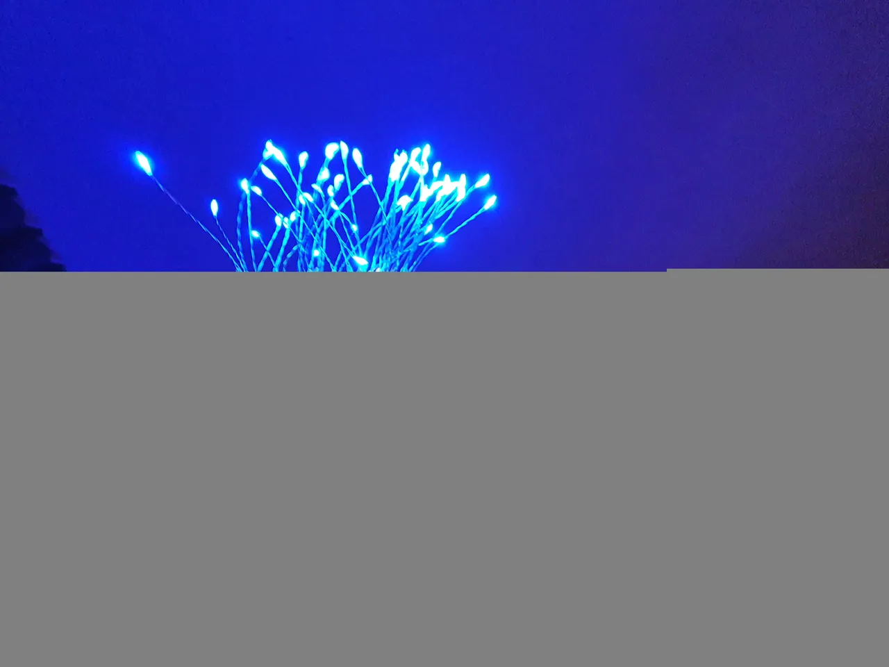 20211124_230314.jpg