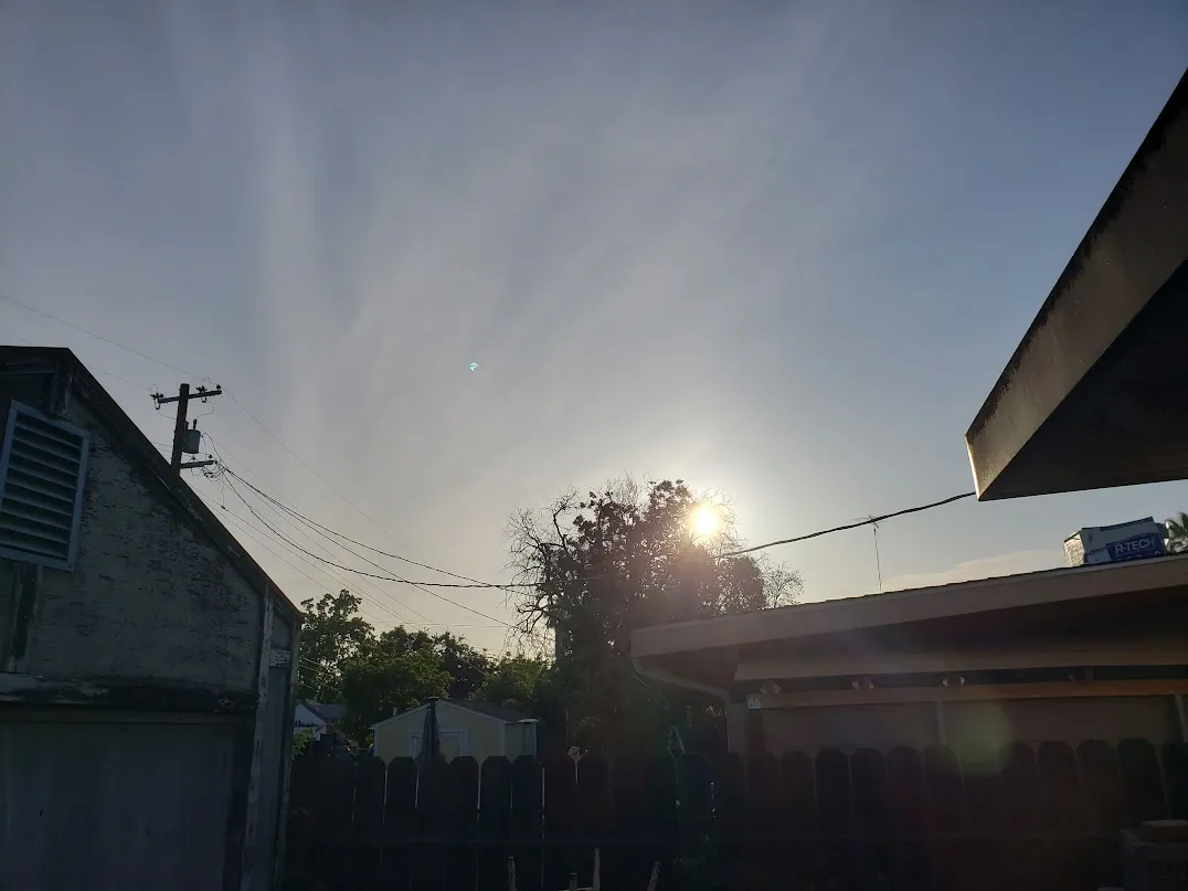 20250620_065351.jpg