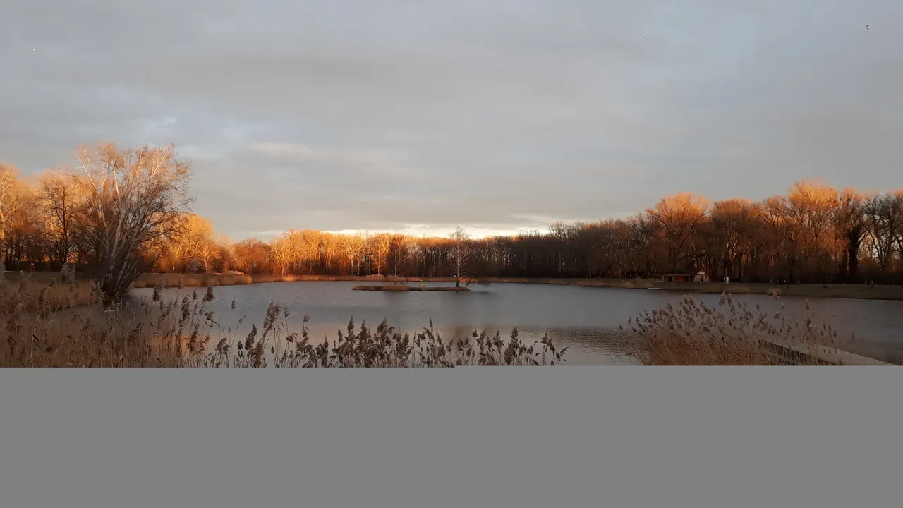 20220208_164939.jpg