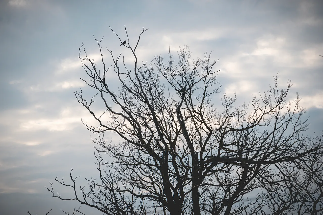 " "DSC_0325 copy.jpg""