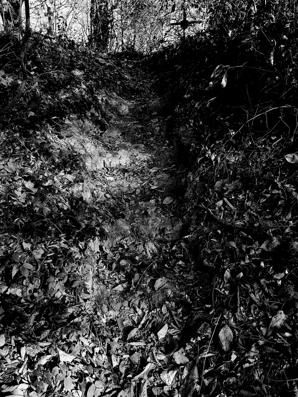 20211101_154251.jpg