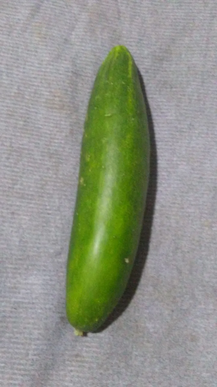 20220313_100244.jpg