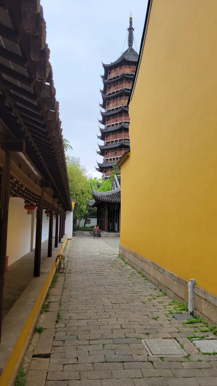 20230421_120446.jpg