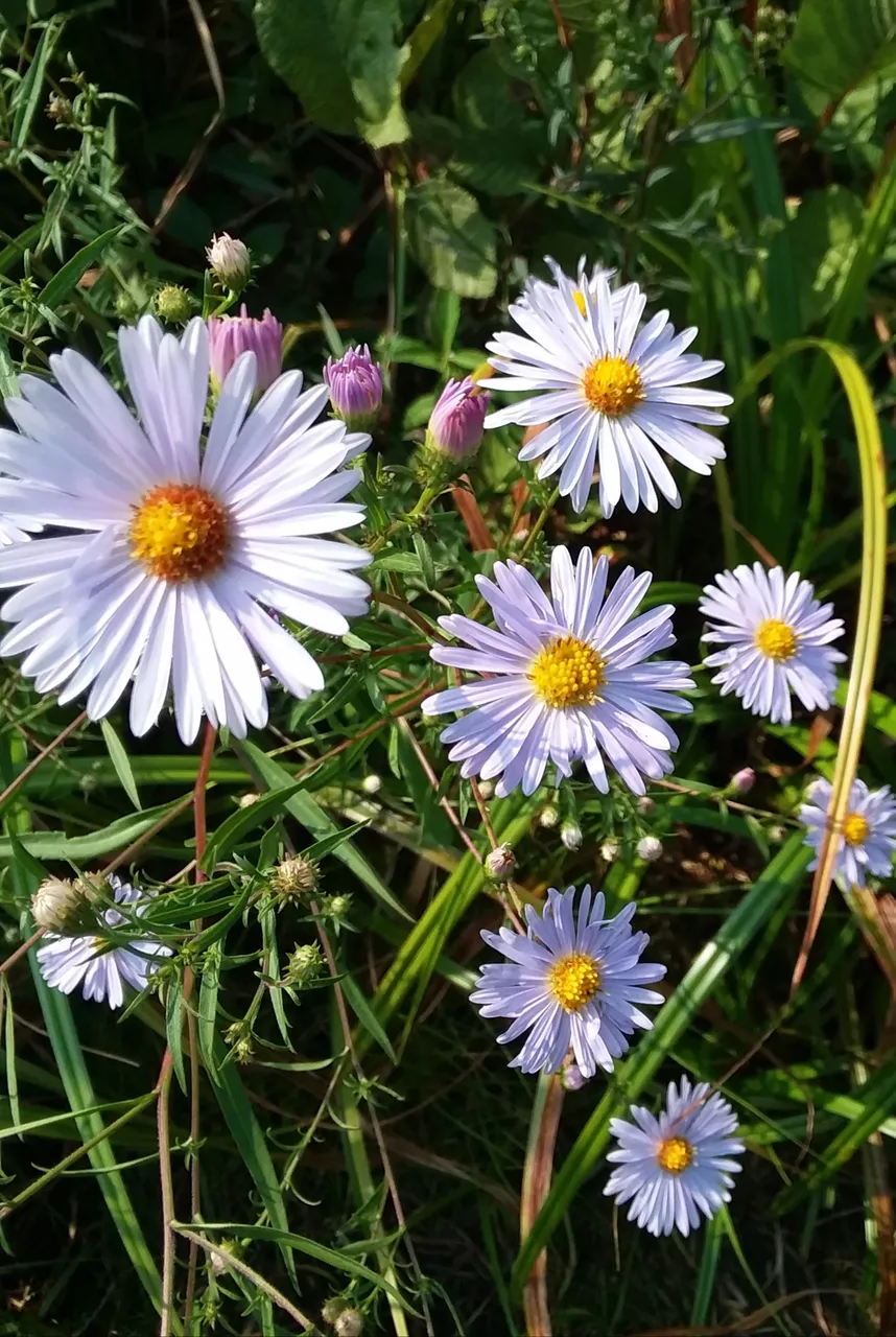 20200916_164306.jpg