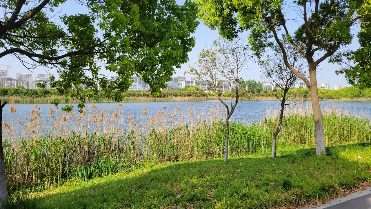 20230421_153944.jpg