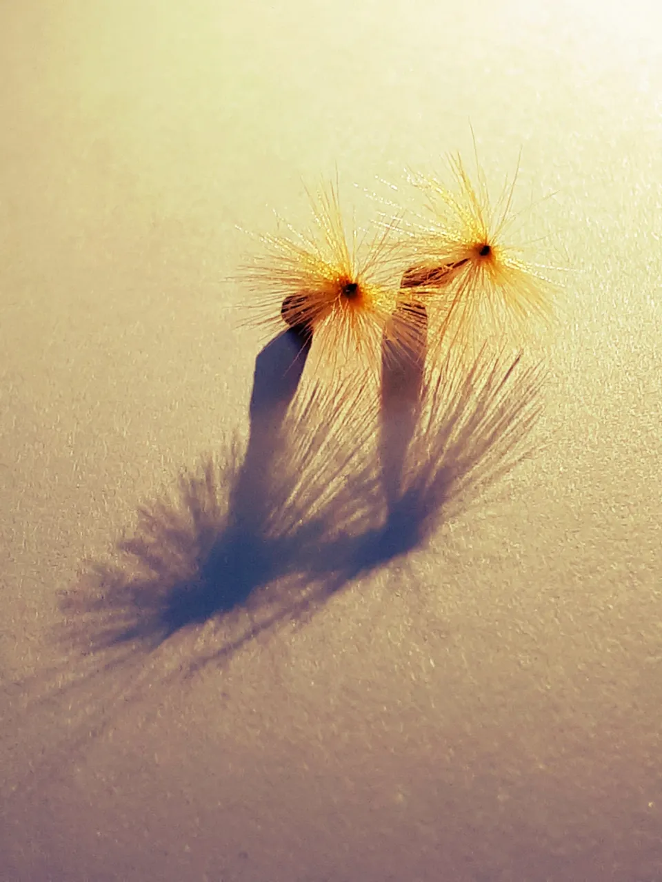 20240328_205456.jpg