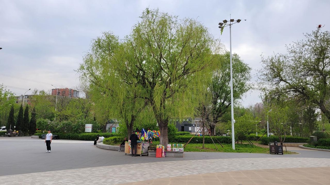 20260502_131322.jpg