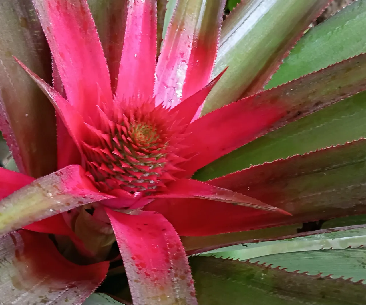 20250731_091630.jpg