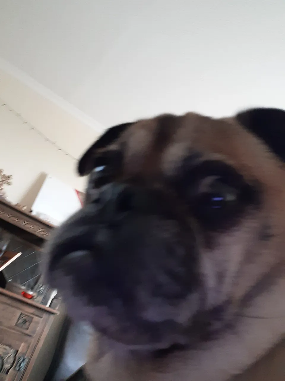 20220423_180200.jpg