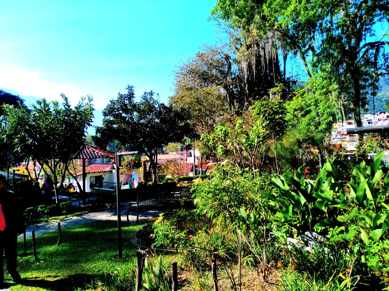 20240127_093204.jpg