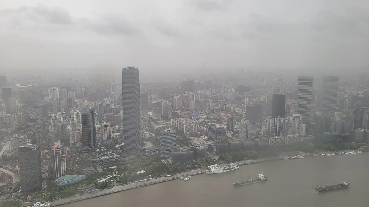 20230423_165019.jpg
