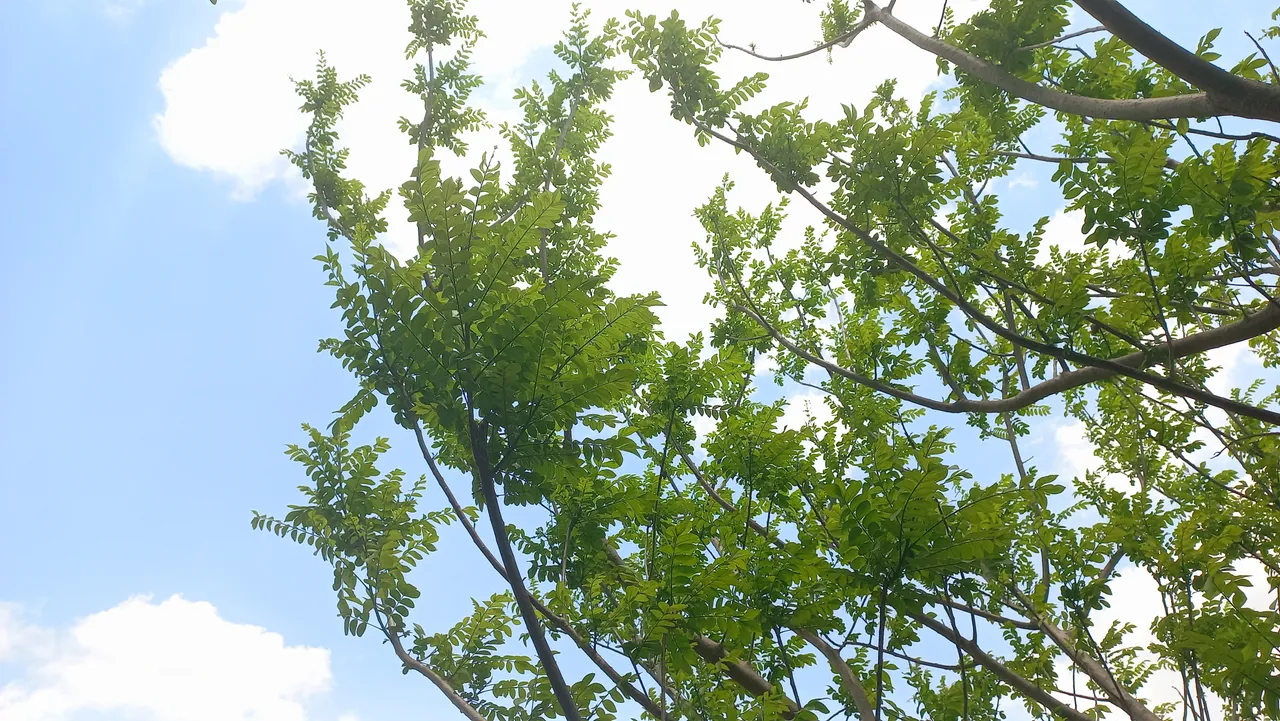 20240514_121426.jpg