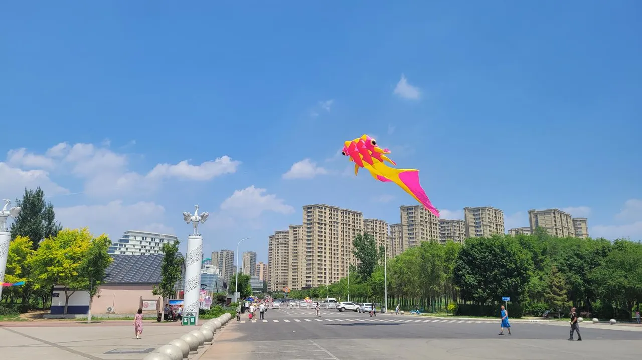 20240609_123251.jpg