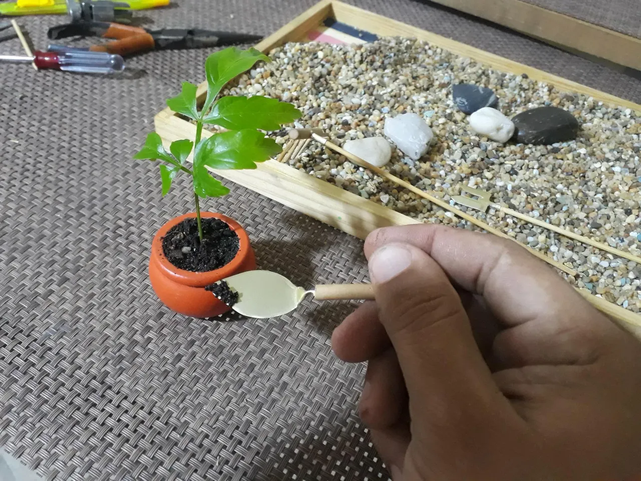 20201103_210559.jpg