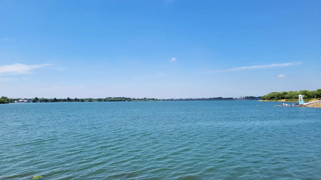 20250801_132922.jpg