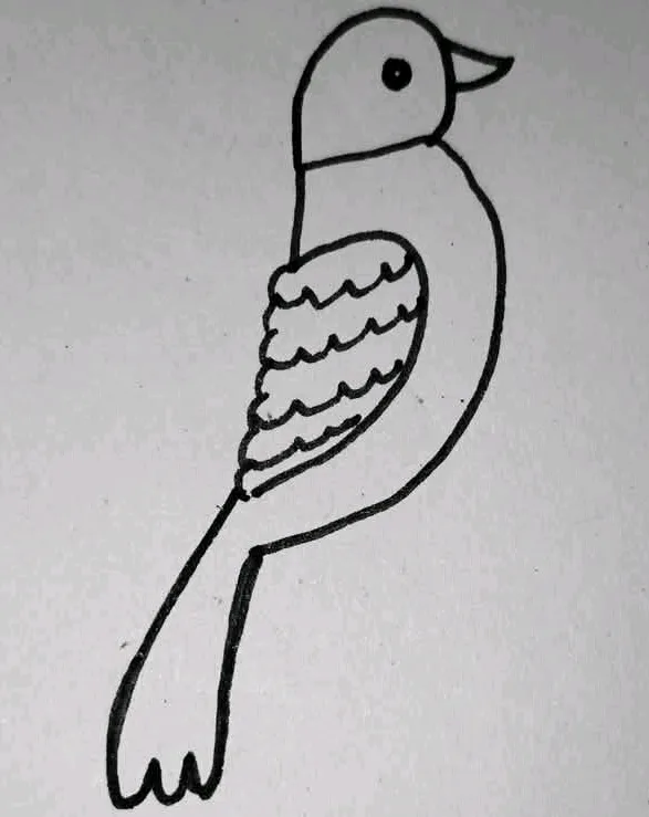 1752092653106_1.jpg