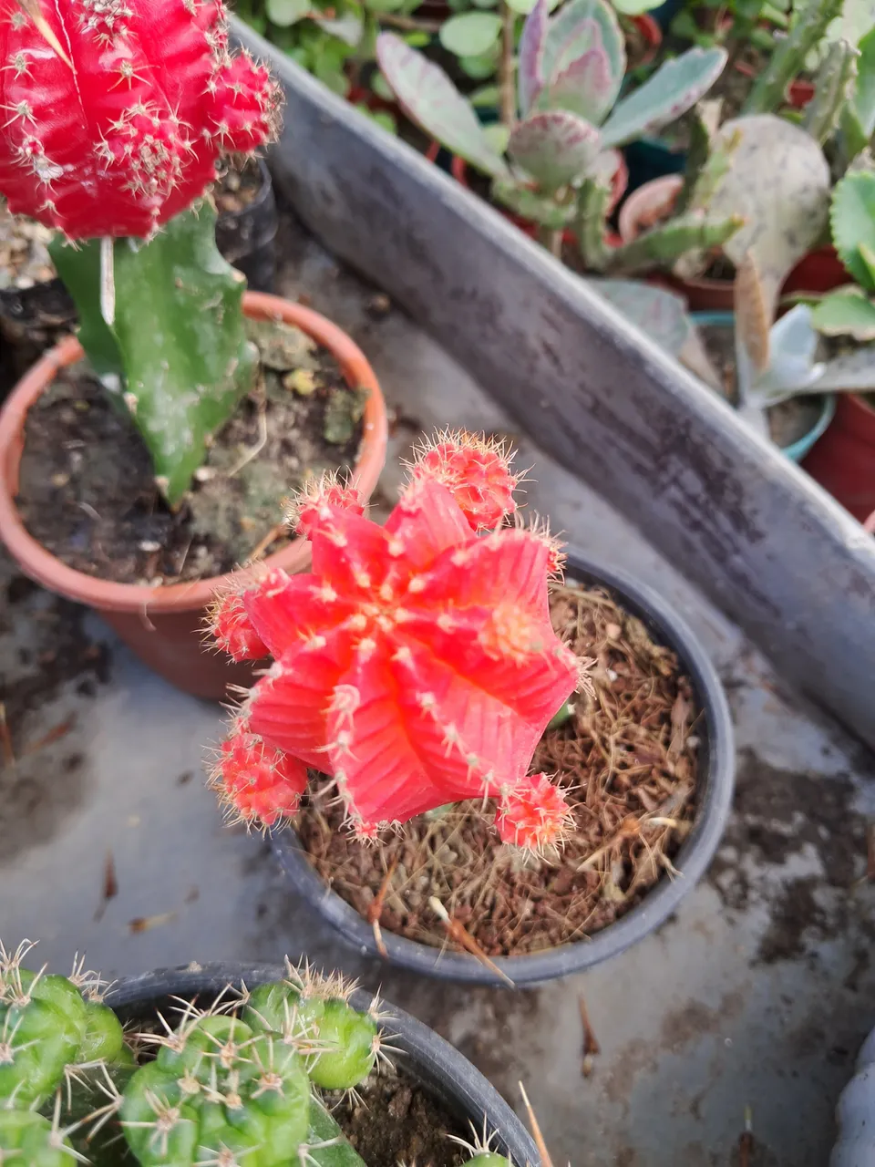 20221012_101839.jpg